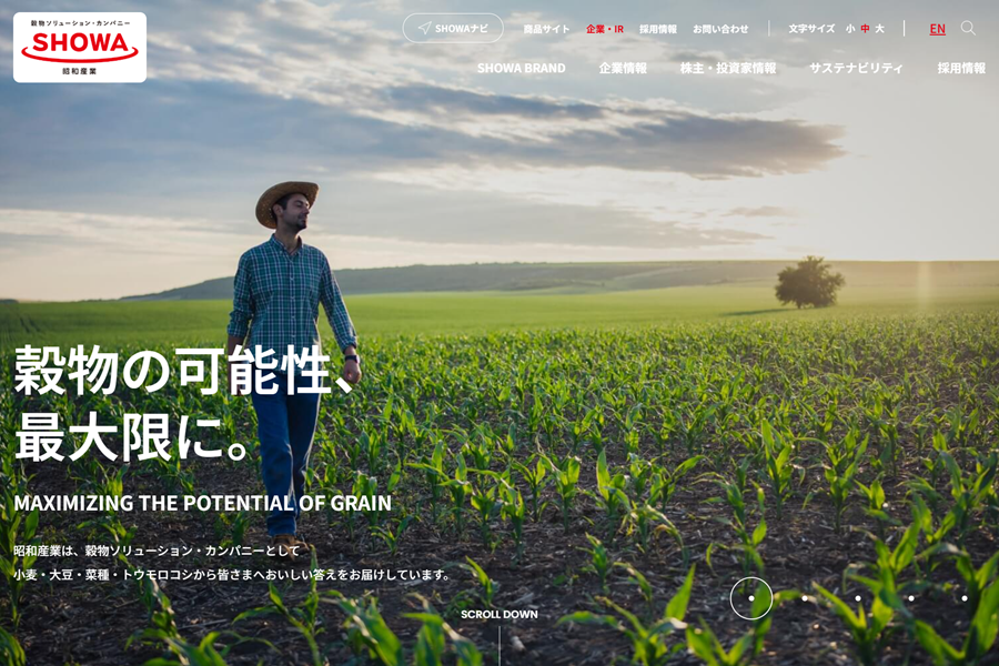 画面キャプチャ